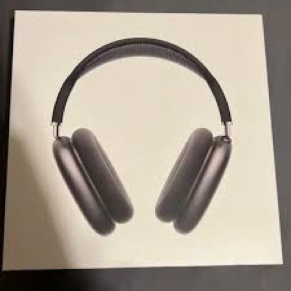 Apple Over-Ear Headphones in Gray